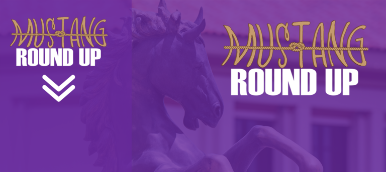 Mustang Round Up